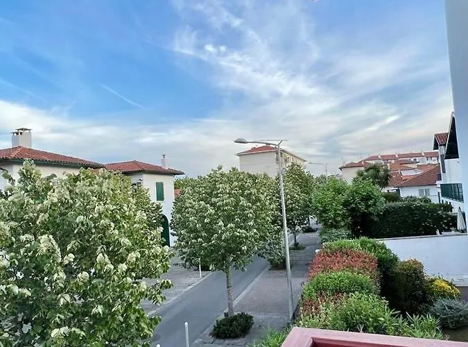 Piscine Et Jacuzzi Loft Ravissant Dans Maison Basque Apartment Anglet